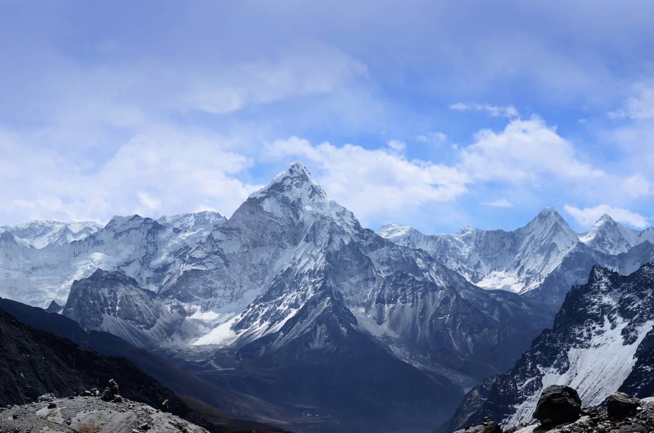 Himalayan Forevers